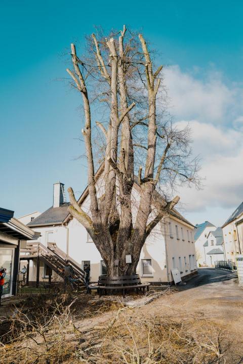 FW Linde Seilergasse 33