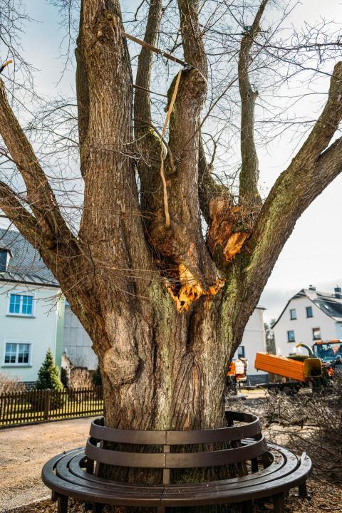 FW Linde Seilergasse 30