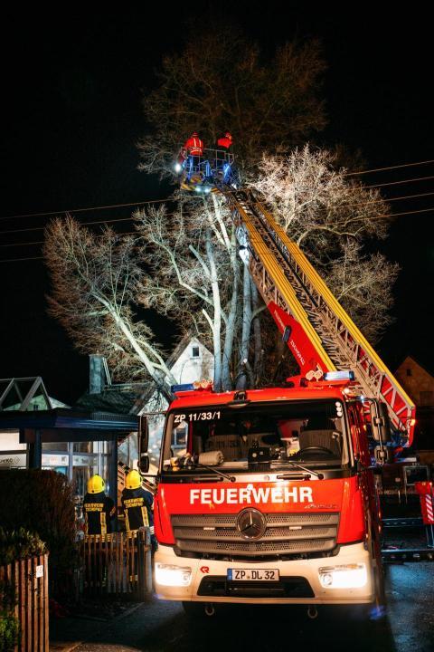 FW Linde Seilergasse 24