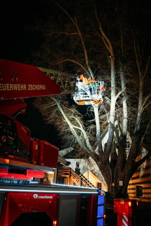 FW Linde Seilergasse 13