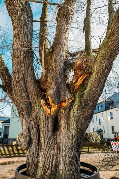 FW Linde Seilergasse 32