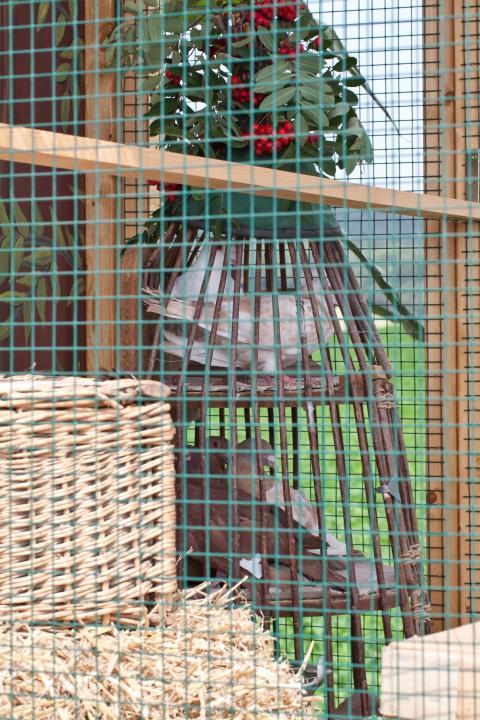 Aufstellung Festumzug 011 2011 Generationstreffen Heimatfest