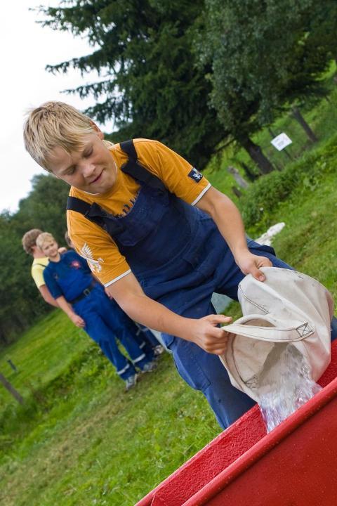 2013 Euroregionausscheid Jugendfeuerwehren 179