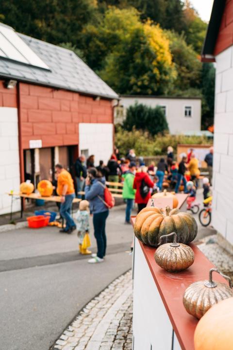 Kürbisschnitzen 14 10 2023  21