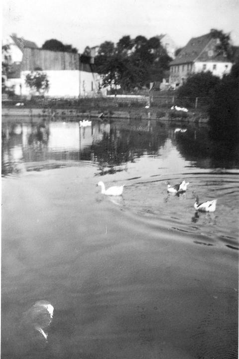 Ehem  Gerichtsteich 006