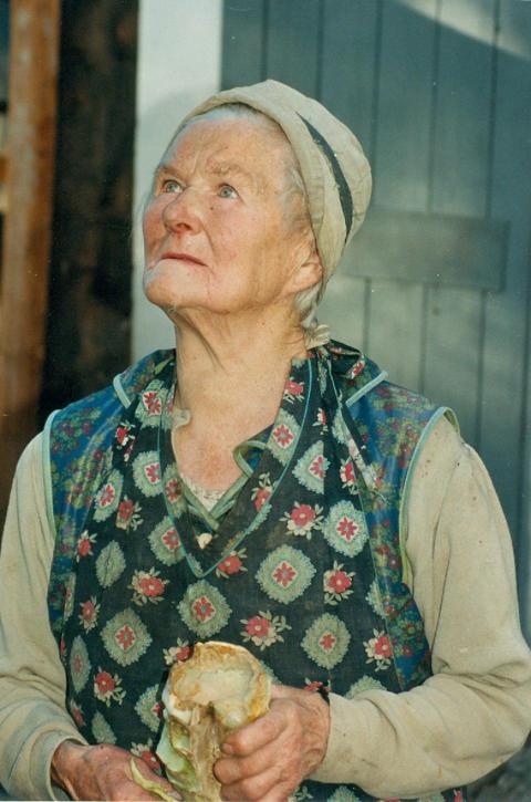 288 Hedwig Paulig geb  Muller 11 94