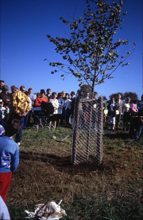 1990 Richterlinde 025