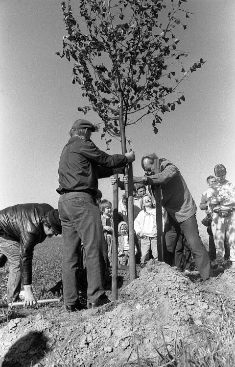 1990 Richterlinde 011