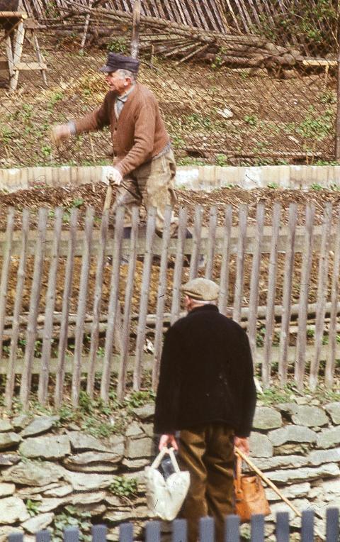 Albin Loos WenzelJ 1972