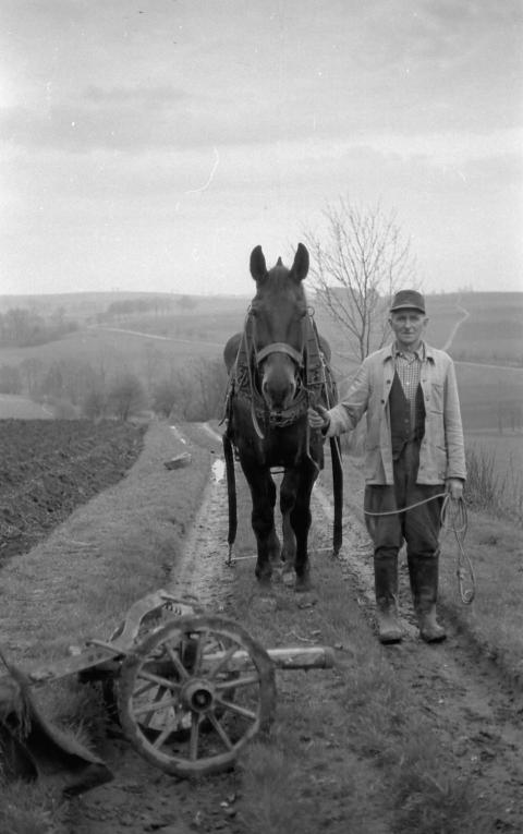 0068  Morgenstern Arno Haselbach