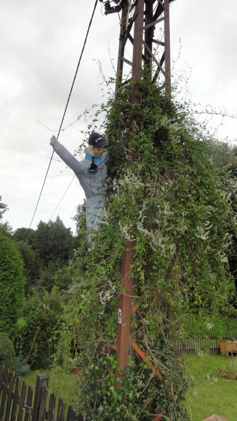 316a Heimatfest 2011 740