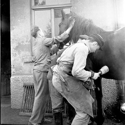 0046 beim Martin Schmied