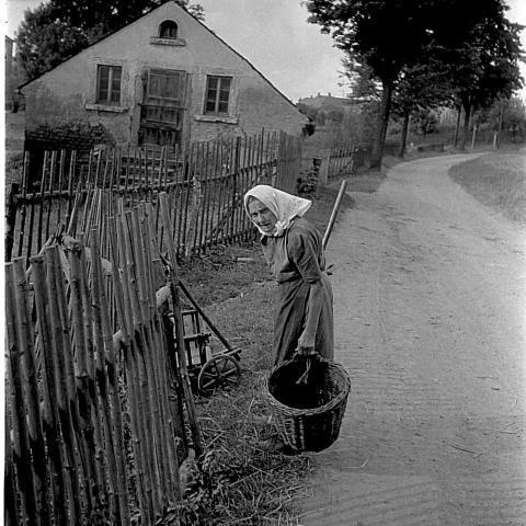 0142 Beyrich Warmbadstr