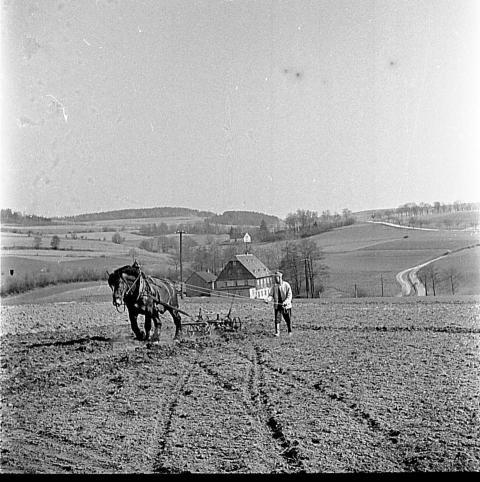 0057 Ackerarbeit bei Kurt Haselbach