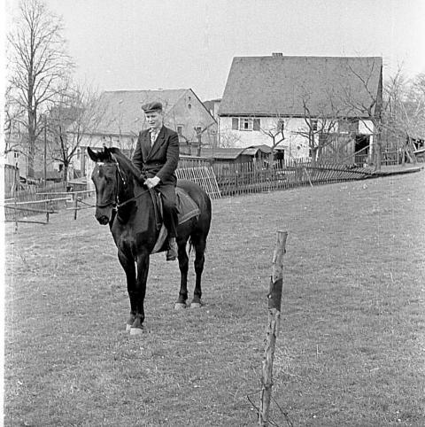 0044 Ausreiten der Pferde Horst Muller