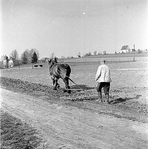 0056 Ackerarbeit bei Kurt Haselbach