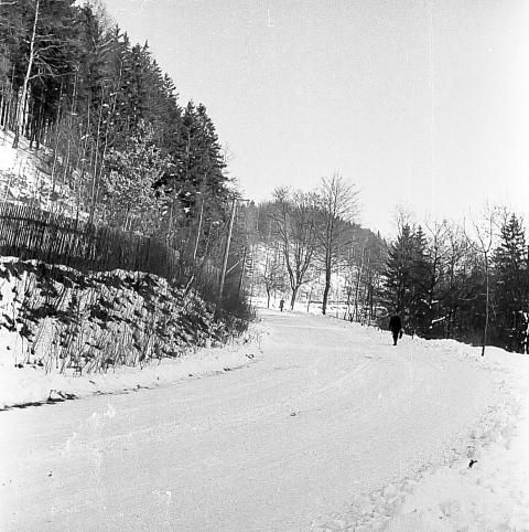 ScharfensteinerStrasse 002