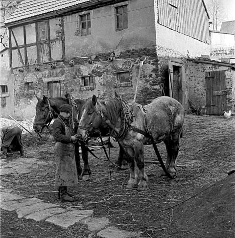 0049 Vorbereitung zur Fahrt auf das Feld bei Herbert Scholz