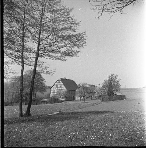 0059 Fruhling  bei der Muhle