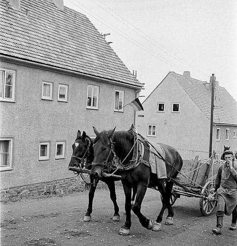 ScharfensteinerStrasse 010
